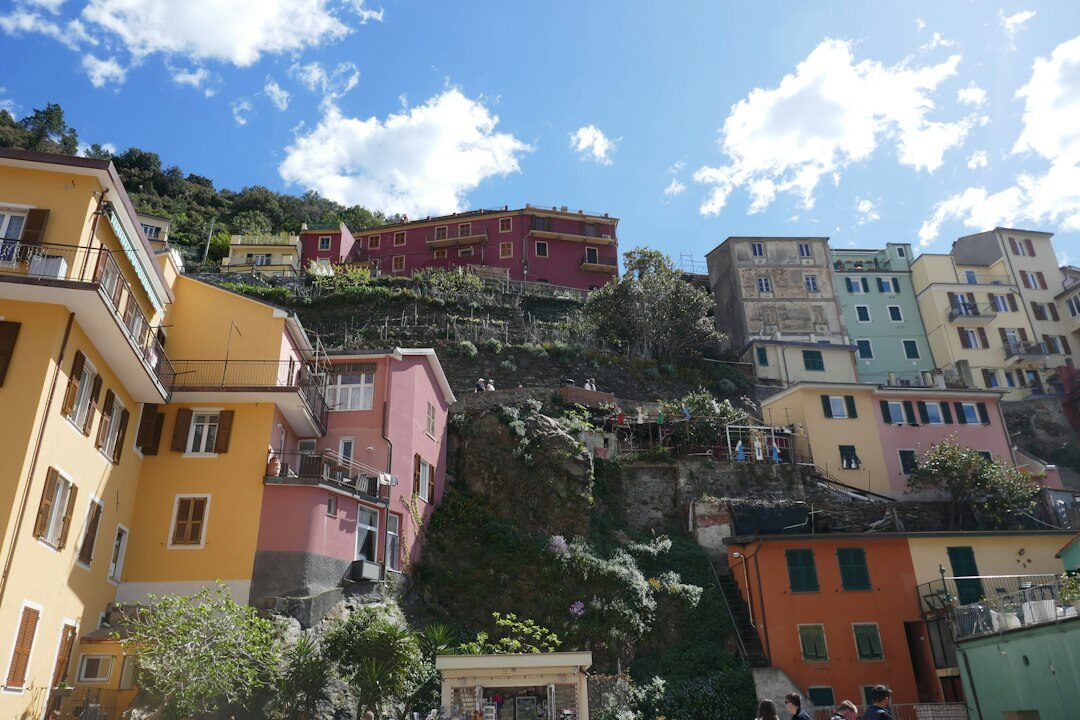 colorful houses on hillside
