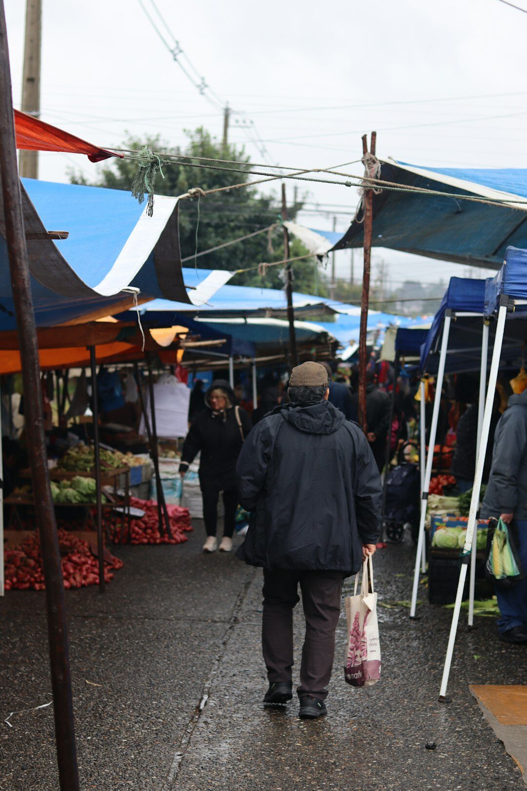Busy street market stalls with fresh produce in Chile